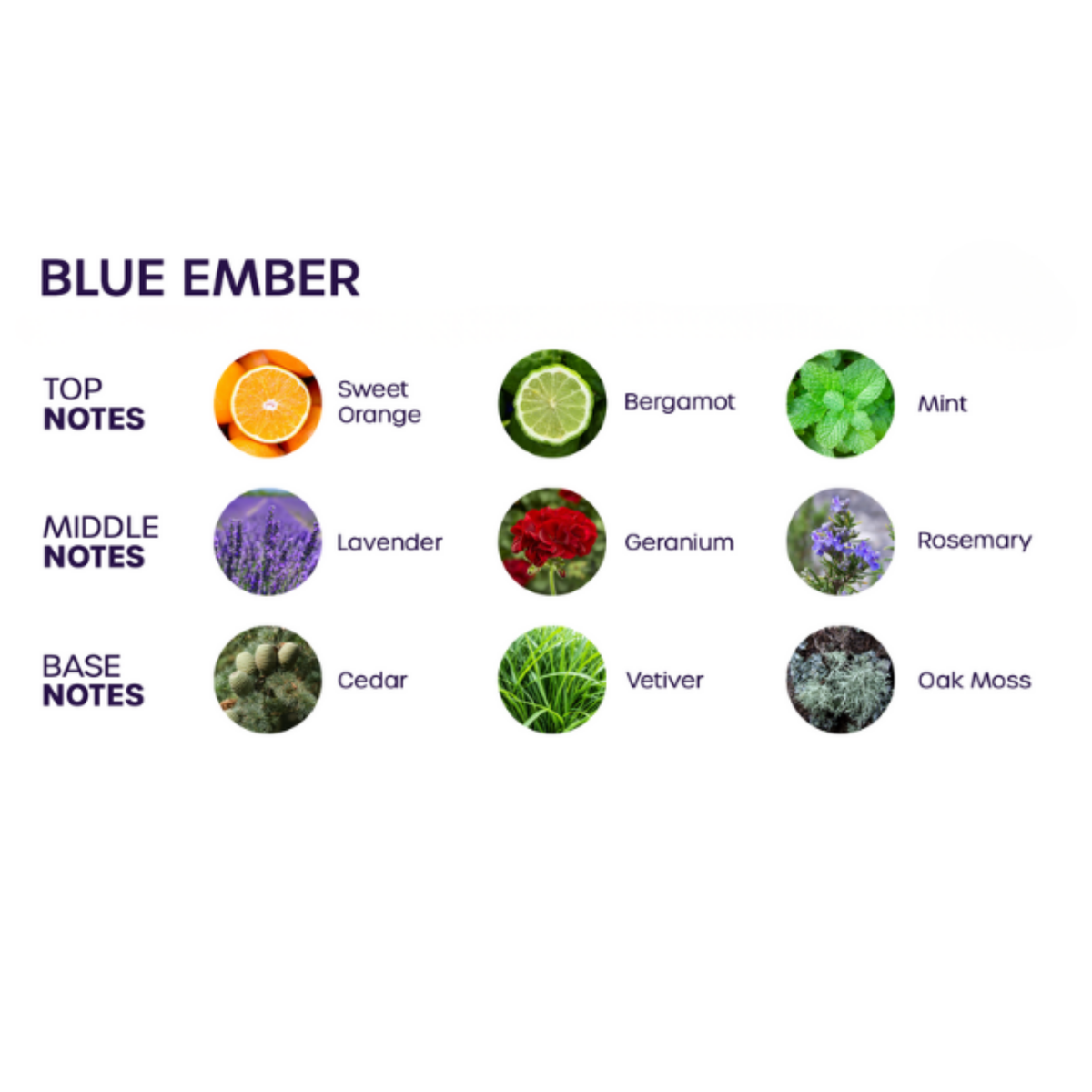 Colonia Bloom Blue Ember