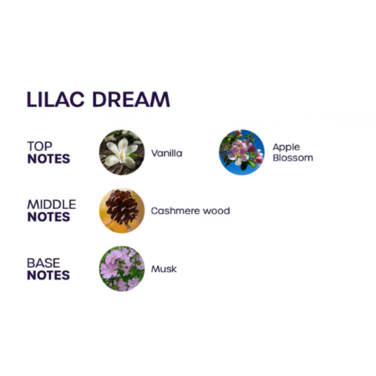 Aceite Perfumado Bloom