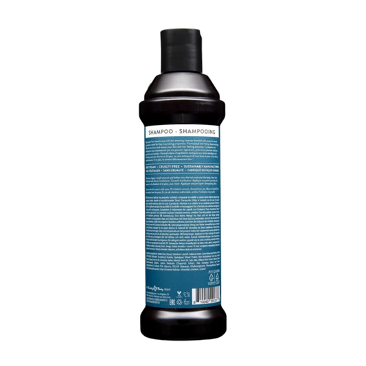 Men's 2-in-1 Shampoo/Body Wash